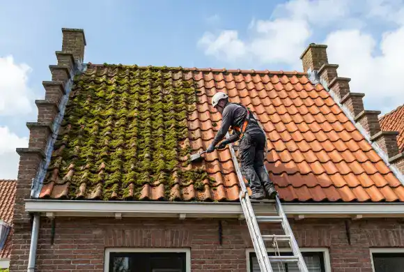 Dakontmossing werkzaamheden - mos verwijderen van dakpannen